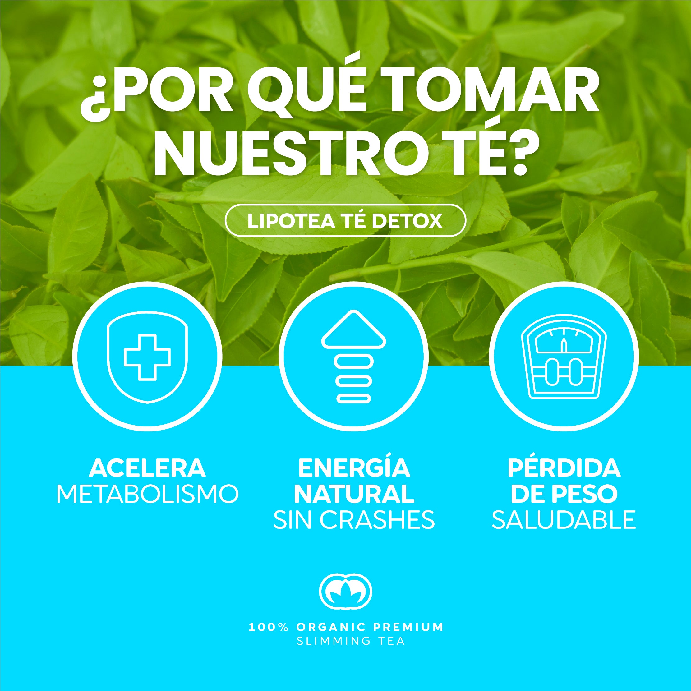 LipoTea Detox By VitaBloom